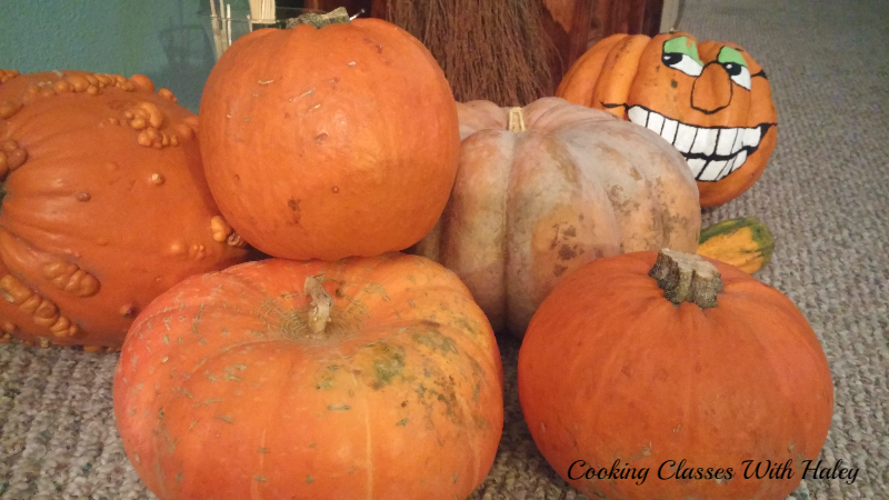 Clockwise, L to R: Knucklehead pumpkin, Sugar Pie pumpkin, Fairy-tale pumpkin, Random painted pumpkin, Small Wonder pumpkin, Sugar Pie pumpkin, Cinderella pumpkin