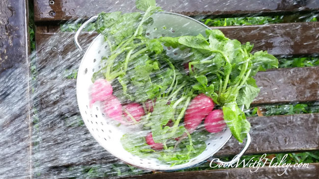 rinse radish greens