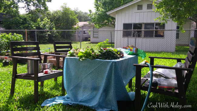 back yard picknick table