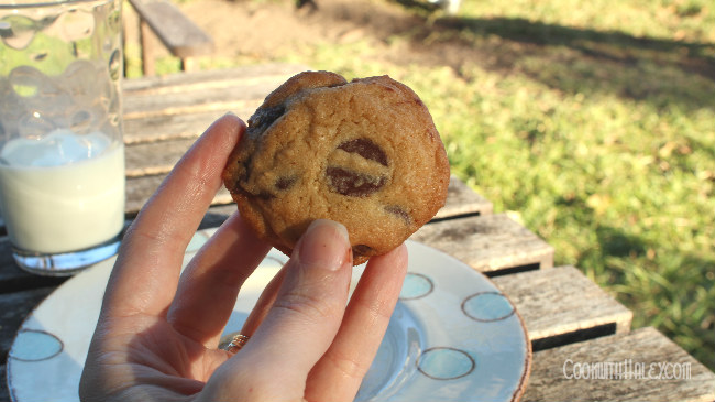 Classic Chocolate Chip Cookie